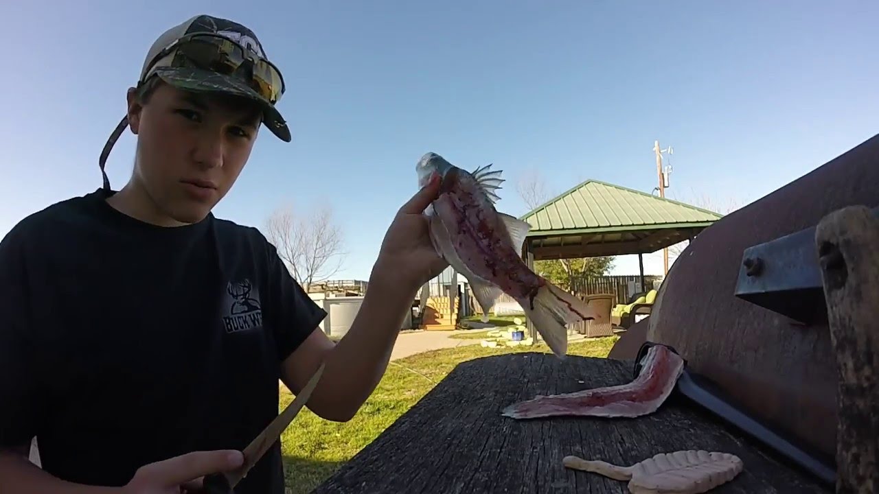 Fillet Sand How To Fry Sand Bass Fillets? , How to Prepare and Cook 4 Delicious ...