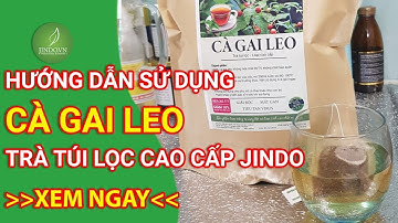 Hướng dẫn sử dụng trà túi lọc cà gai leo