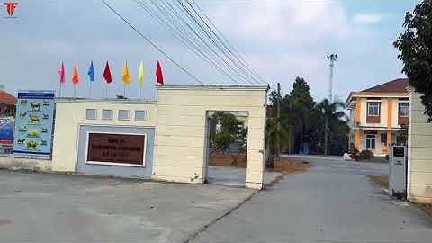 Bán đất  LA/ Tân Trụ / Chợ Lạc Tấn