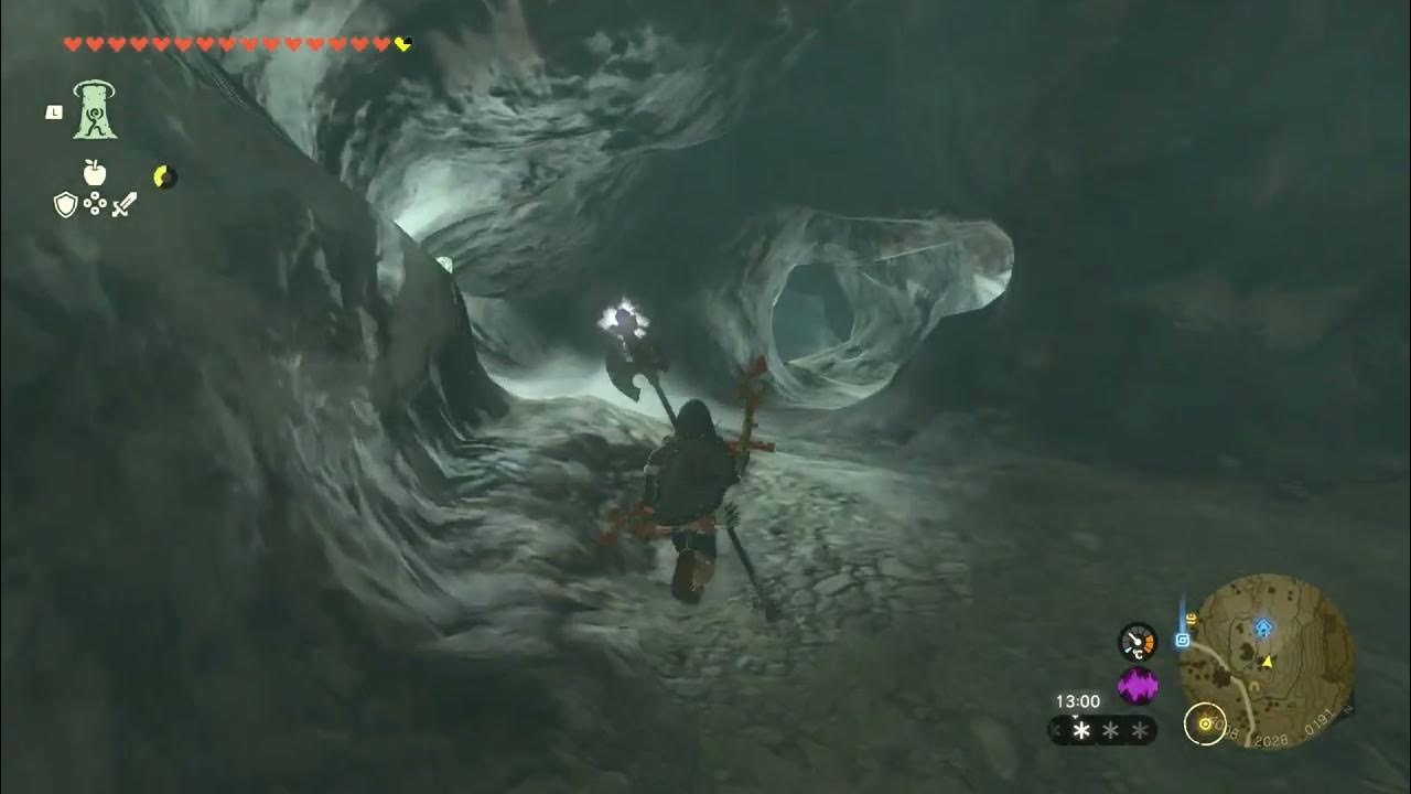 [The Legend of Zelda Tears of the Kingdom] West Lake Totori Cave
