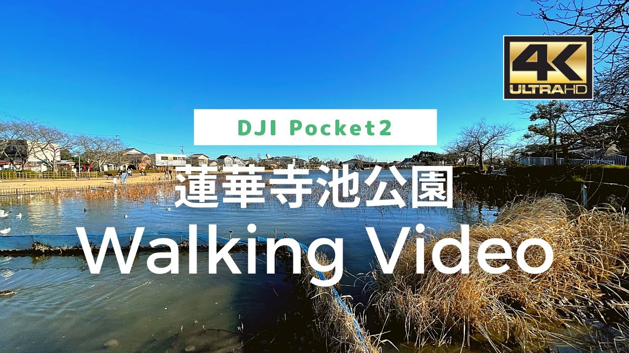 【4K】 Rengejiike Park - 蓮華寺池公園 Walking Video From Japan