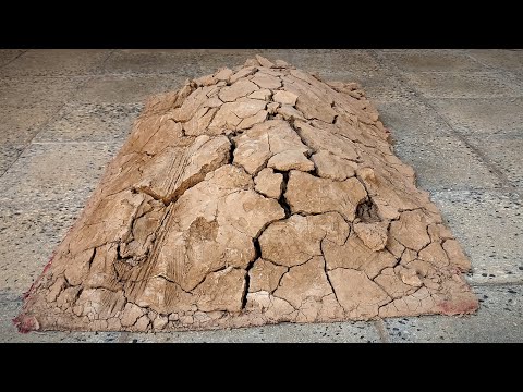 You haven't seen such a dirty carpet|Full of terrible mud|asmr Video.