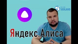 Яндекс Диалоги в действии. Чатбот Алиса и SeoLand Яндекс Диалоги в действии. Чатбот Алиса и SeoLand
