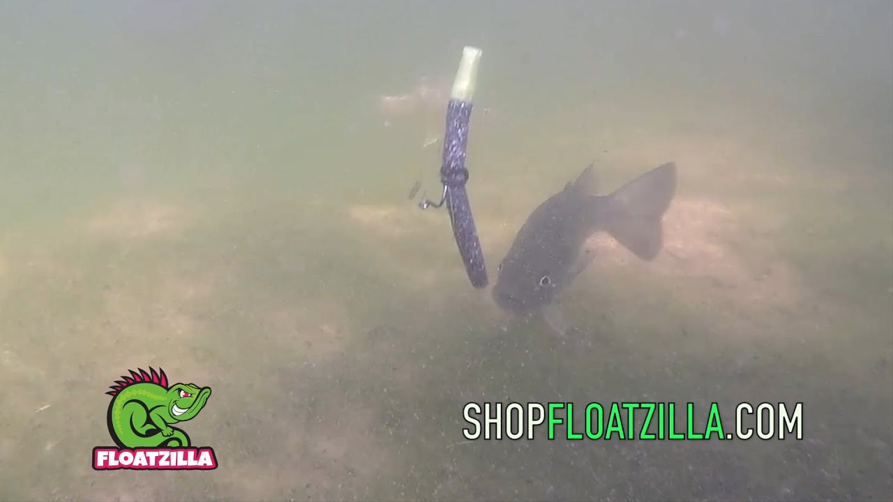 Floatzilla  Soft Plastic Lure Floats – Shop Floatzilla