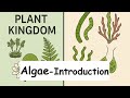 Algae-Introduction 01 || PlantKingdom Ncert line to line 😊