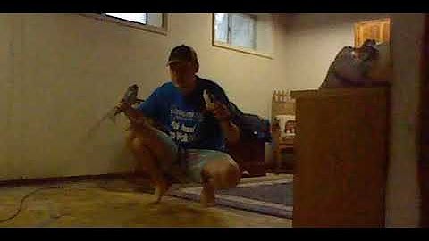 Rc shark talking video