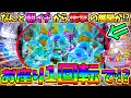 【パチンコ】PA大海物語5 Withアグネス・ラム / なんと朝イチから衝撃の展開が!?お座り1回転で激アツを発生させてしまう男【どさパチ 544ページ目】