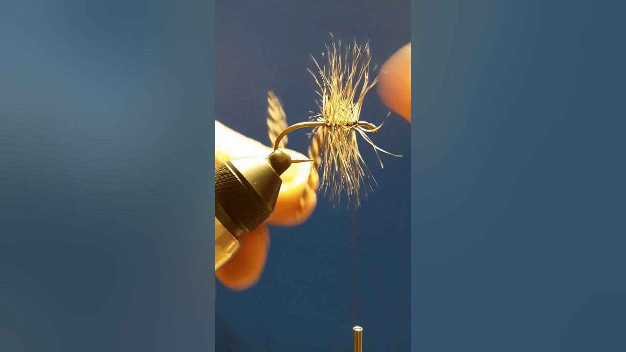dry fly vs wet fly YouTube