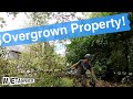 Overgrown Property! Neighborhood Land Clearing Job