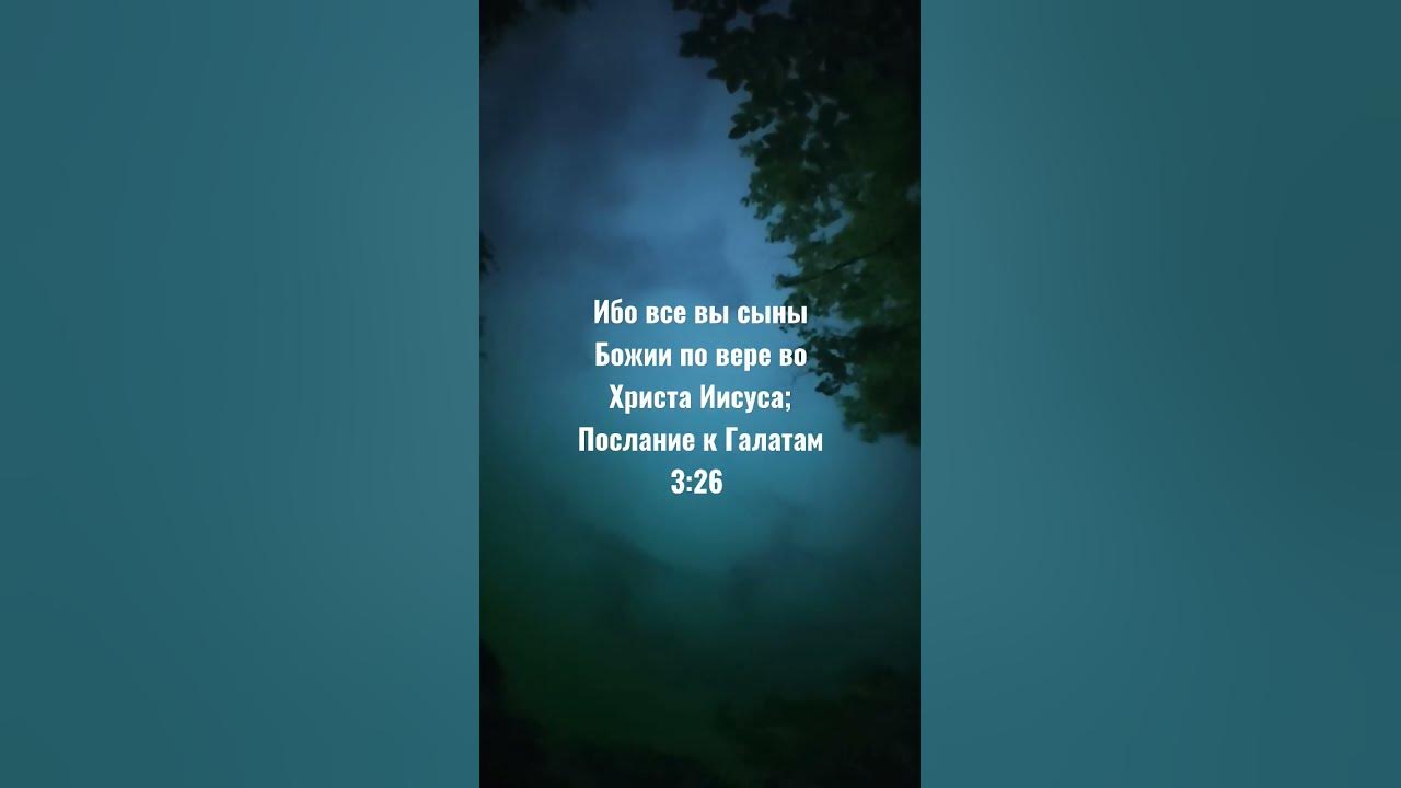 Ибо все вы сыны Божии по вере во Христа Иисуса;Послание к Галатам 3:26 ...