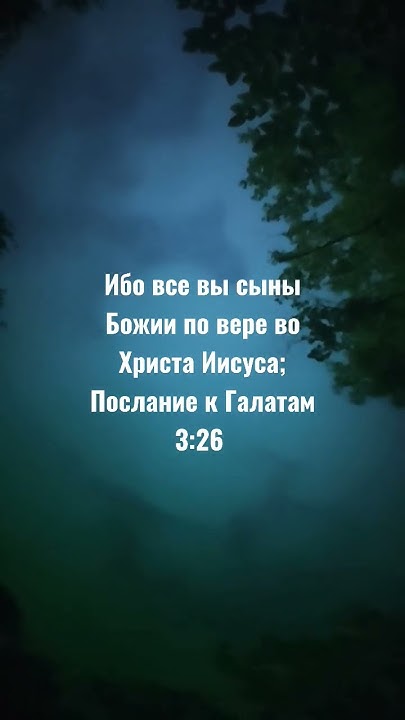 Ибо все вы сыны Божии по вере во Христа Иисуса;Послание к Галатам 3:26 ...