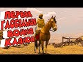 Первая глобальная война кланов - Mount & Blade II: Bannerlord online