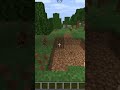 i break blocks for my subscriber 😮🤔 #short #minecraft #minecraftchallenge #subscriber challenge