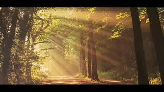 Dji Camdclr 3500 Nice Views Pinay In Alemanya