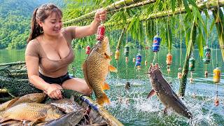 Beautiful Country Girl Sets 50 Hooks in a Lake — Catches a HUGE School of 5KG Carp!