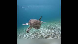 Seabob Tours Aruba