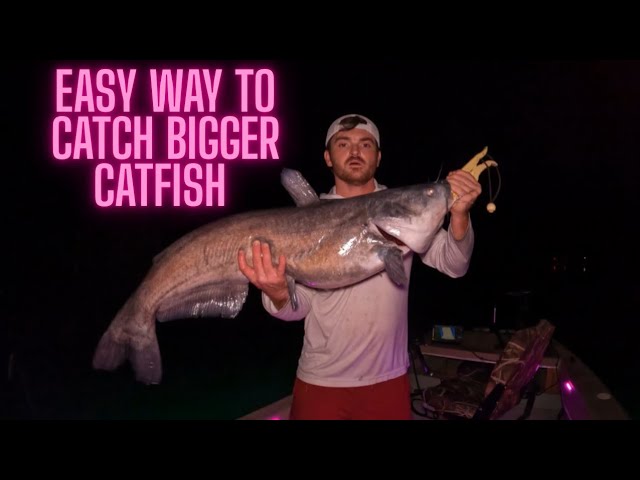 This Catfish Bait Is Almost Too Good....