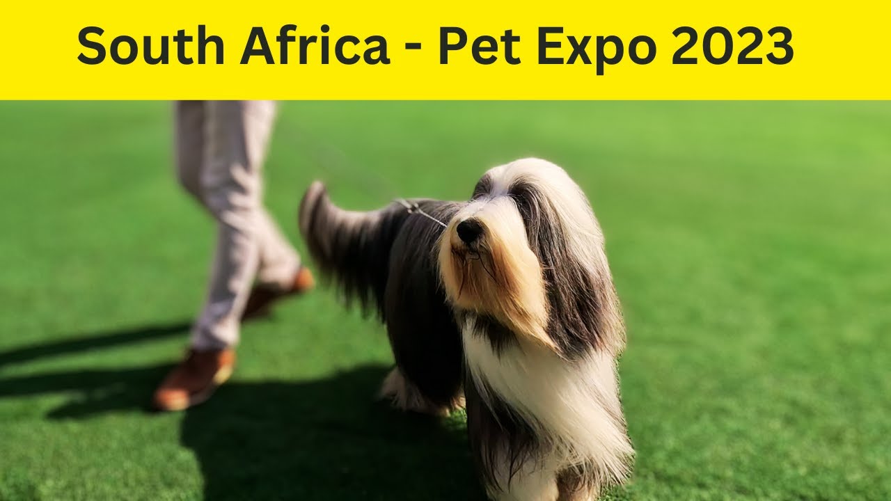 Top 40 Richest Dog Breeds South Africa Pet Expo 2023 YouTube