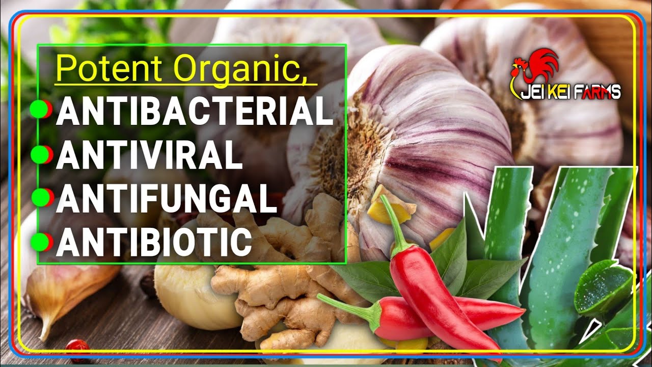 Organic "Herbal" Remedies That Work Like Magic In Poultry Farming.