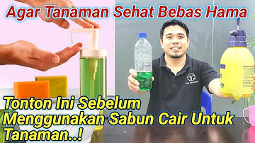 Harus Tahu! Cara Menggunakan Sabun Cair Untuk Tanaman Yang Baik dan Benar, Pestisida Organik