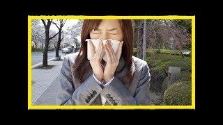 真的嗎？槐花蜜可治萎缩性鼻炎？