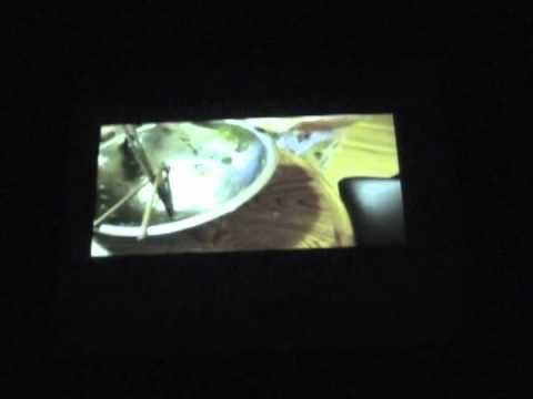 1. 开场动画 - 2012 WashU CSSA Spring Festival Celebration