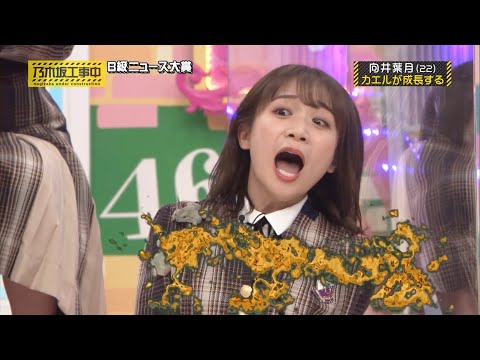 絶叫する秋元真夏｜乃木坂46 バナナマン 【乃木坂工事中】