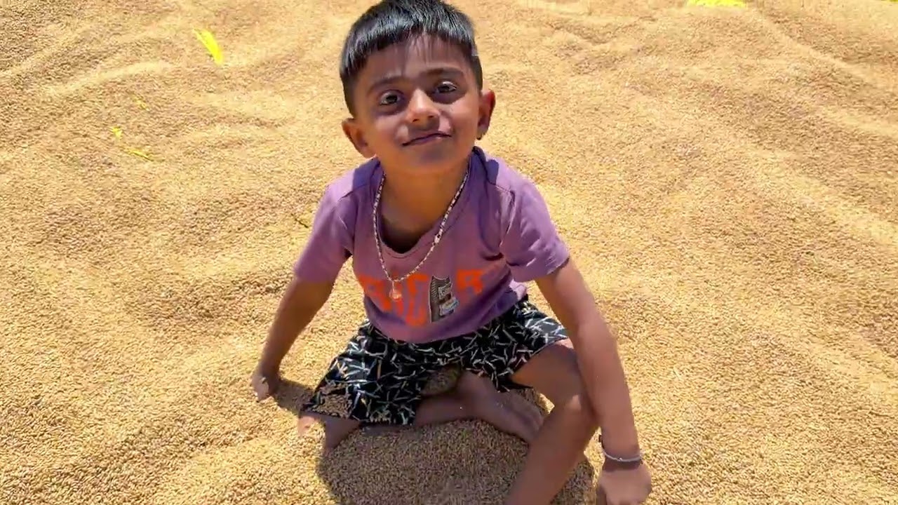 मम्मीला घाबरून माऊली गव्हात लपून बसला ???? 