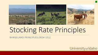 Stocking Rates Principles