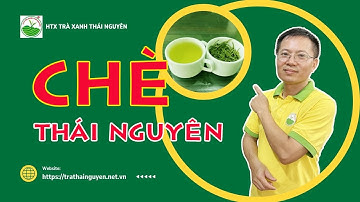 Chè Thái Nguyên - ngon nhất Tân Cương (TC11)