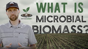 What is Microbial Biomass? (Plus, why it matters for you)