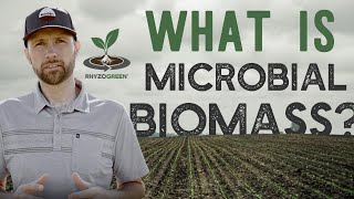What Is Microbial Biomass? Plus, Why It Matters For You