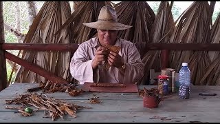 Rolling Your Own Cuban Cigar - Highlights Of Cuban Cigar Making