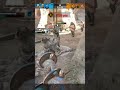 Draw is a draw #forhonor #supportmychannel #ubisoft
