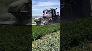 Meyferguson 8730 Yonca Biçimi