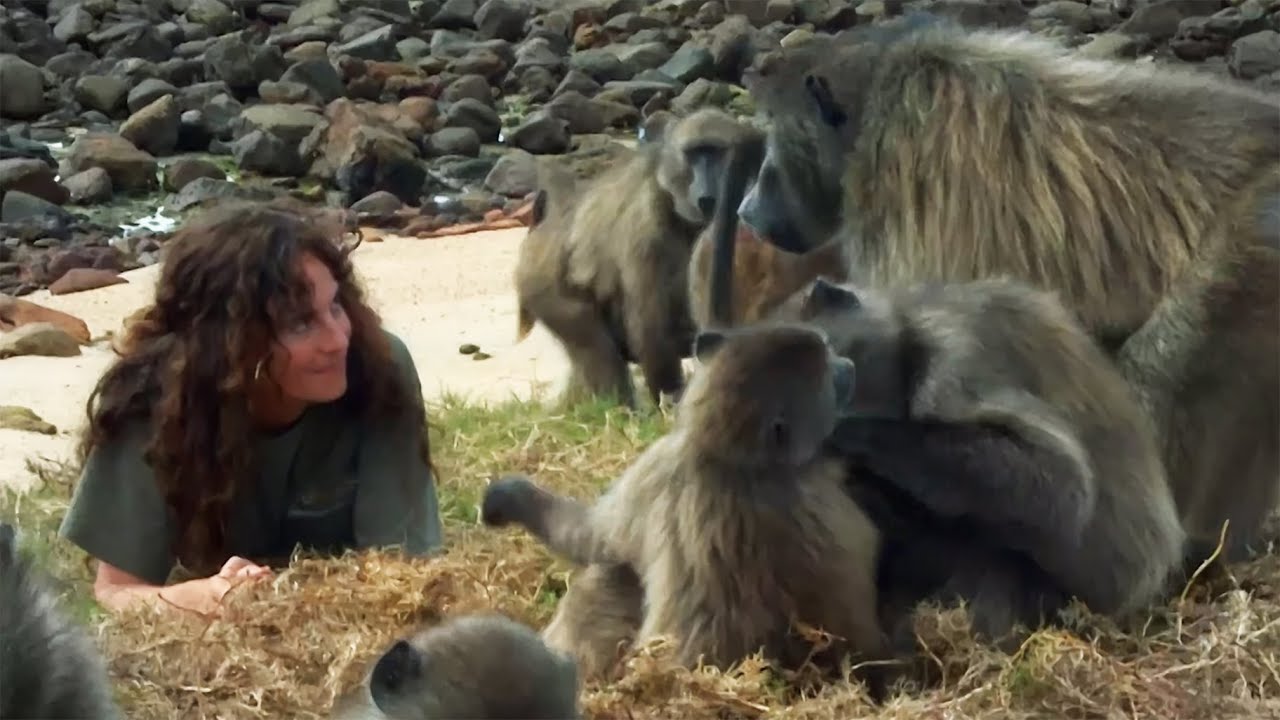 Anna Breytenbach Talking With Animals.  The Way Back Home 