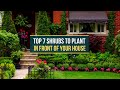 TOP 7 SHRUBS TO PLANT IN FRONT OF YOUR HOUSE ✅