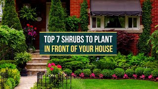 TOP 7 SHRUBS TO PLANT IN FRONT OF YOUR HOUSE ✅