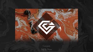Download Lagu Coopex - Say It Now MP3