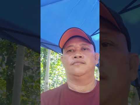 Fiesta Kinukitan Valencia Bohol 🇵🇭