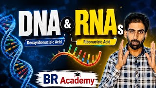 DNA and RNA basics l BR Academy