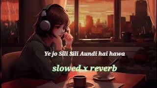 Ye jo Sili Sili aundi ae hawa || Naseebo Lal || slowed x reverb || punjabi sad song ||
