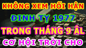 KHÔNG XEM LÀ HỐI HẬN! Đinh Tỵ 1977 Tháng 9 Âm 2025  Tiết Lộ CƠ HỘI TRỜI CHO Chỉ Xuất Hiện Một Lần