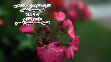 تلاوة مختارة من صلاة المغرب في مسجد القبلتين ١٣-١-١٤٤١ من سورة الزمر  الشيخ محمد سليم الأحمدي