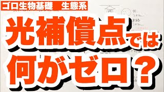 光の強さと二酸化炭素吸収速度のグラフの見方　光補償点と見かけの光合成速度の関係　陽葉・陰葉の頻出ミス　生態系　ゴロ生物基礎