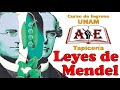 Leyes de Mendel. Biología UNAM