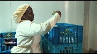 Details Focus On Africa Food Systems Forum 2023 Guide