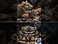 هل يمكن أن تتكرر مأساة الفئران مع البشر