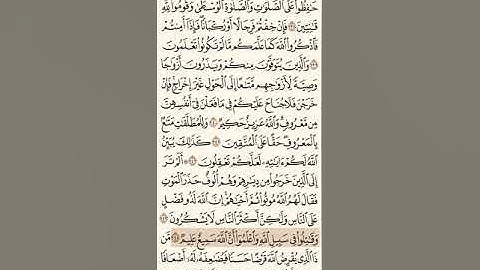 حفظ و تكرار سورة البقرة صفحة 39 - 10 مرات - الشيخ ماهر المعيقلي