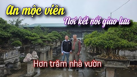Thăm AN MỘC VIÊN nơi thu hút hơn trăm nhà vườn tập trung tại đây | Tạp chí Việt Nam hương sắc 